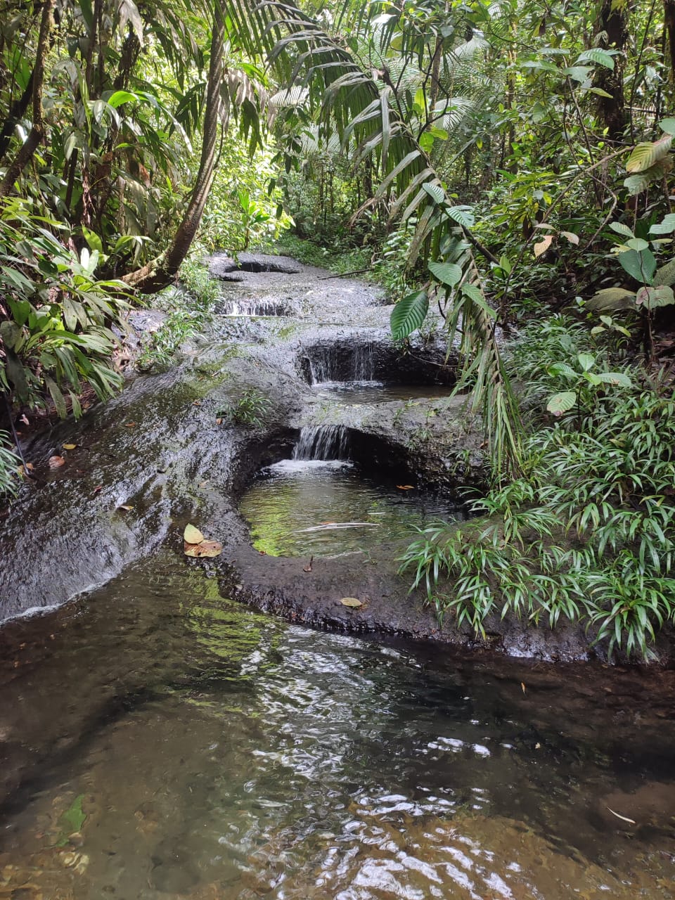 Pozos naturales de San Cipriano